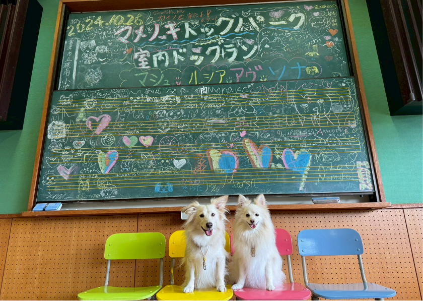 ブログ｜じゃぱり館山