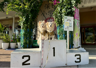 ブログ｜じゃぱり館山