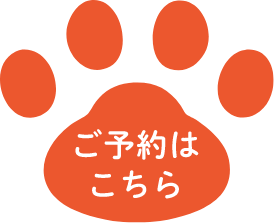 ブログ｜じゃぱり館山