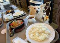 ブログ｜じゃぱり館山