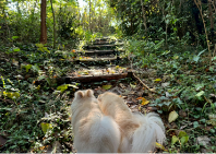 ブログ｜じゃぱり館山