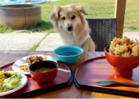 ブログ｜じゃぱり館山