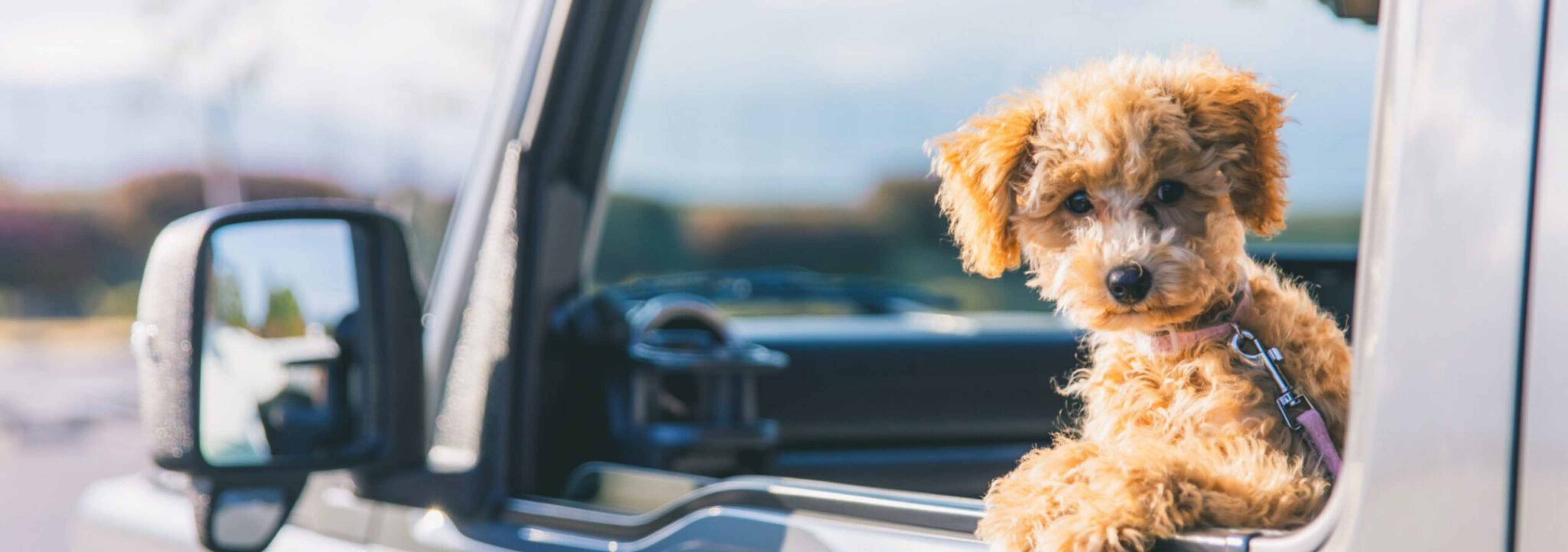 ブログ｜じゃぱり館山