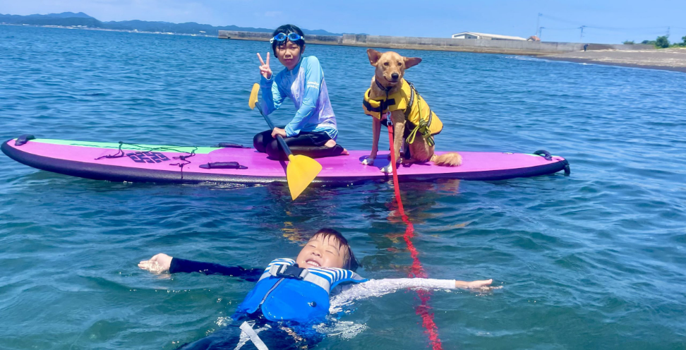 キャンプ｜じゃぱり館山