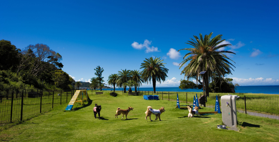 キャンプ｜じゃぱり館山