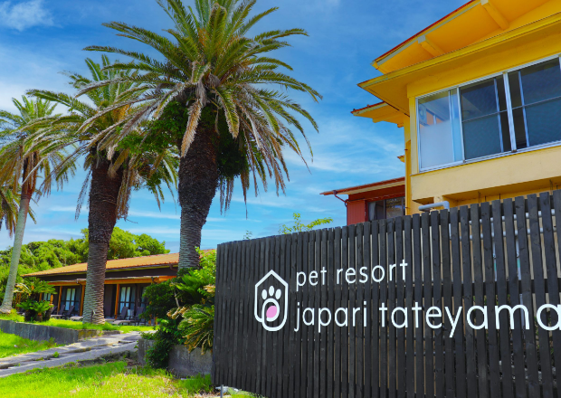 キャンプ｜じゃぱり館山