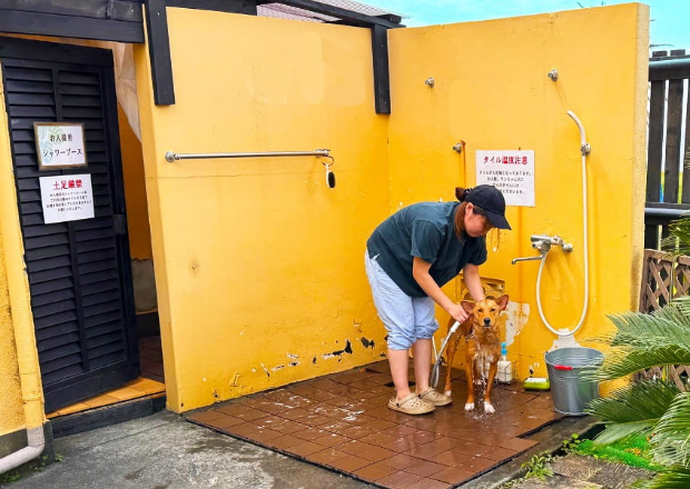 キャンプ｜じゃぱり館山
