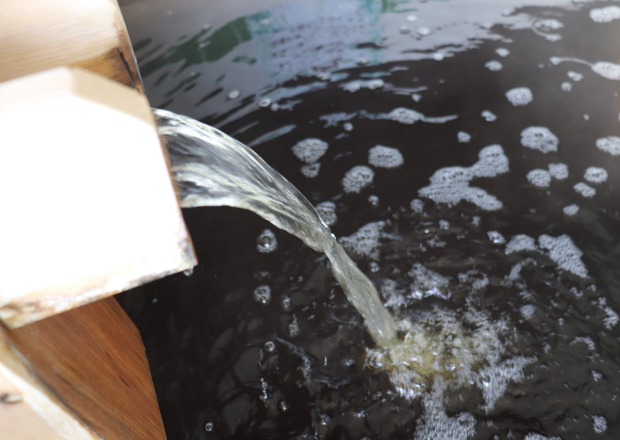 キャンプ｜じゃぱり館山