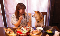 お食事｜じゃぱり館山