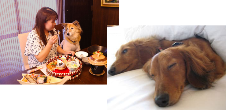 わんちゃん｜じゃぱり館山