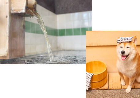 温泉｜じゃぱり館山