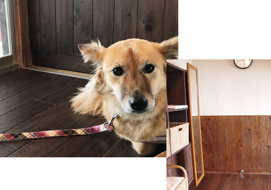 温泉｜じゃぱり館山