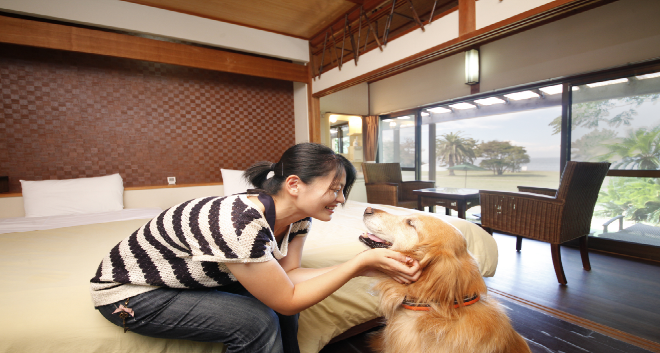 お部屋｜じゃぱり館山