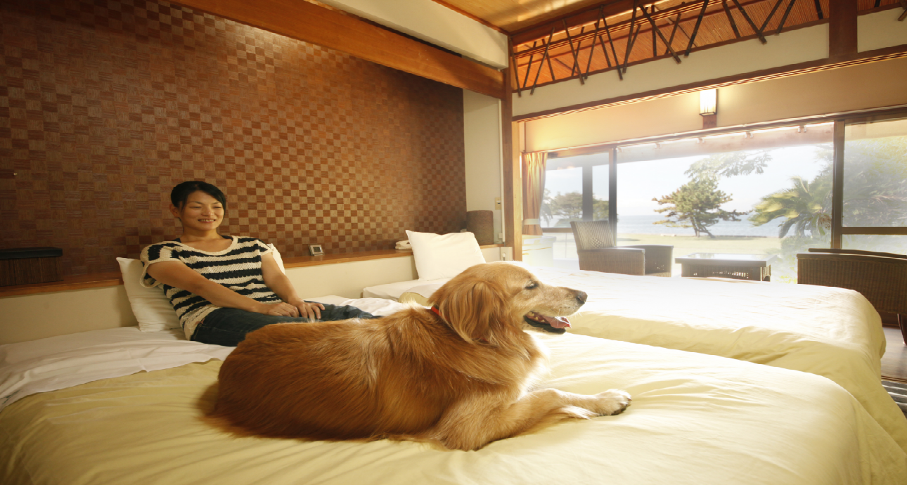 お部屋｜じゃぱり館山