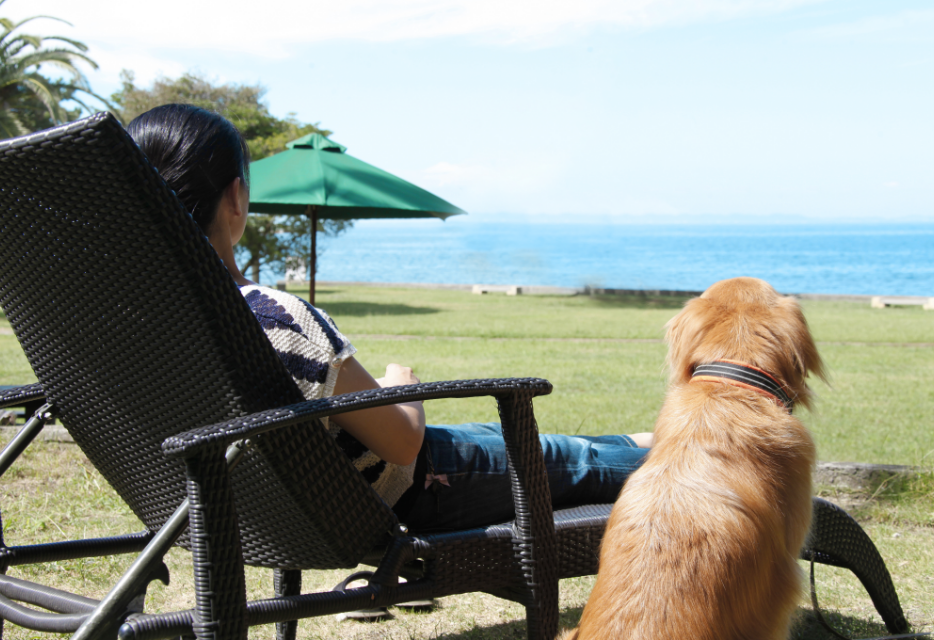 お部屋｜じゃぱり館山