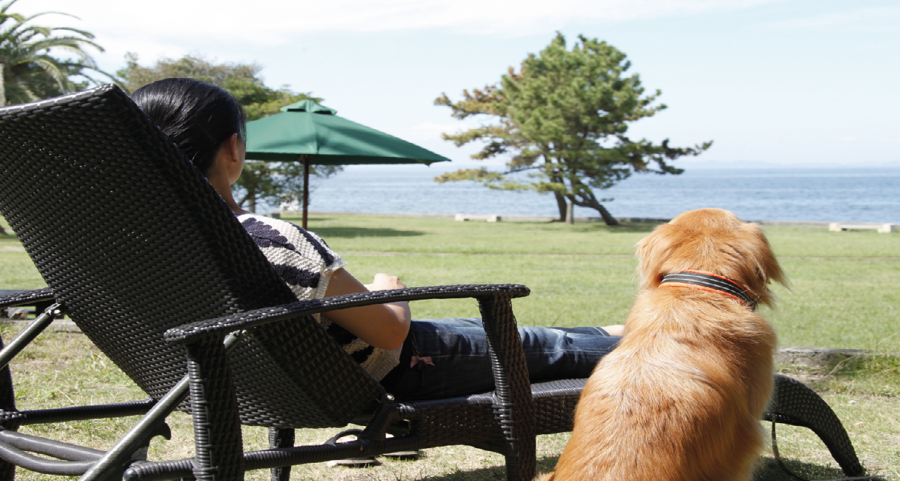 お部屋｜じゃぱり館山