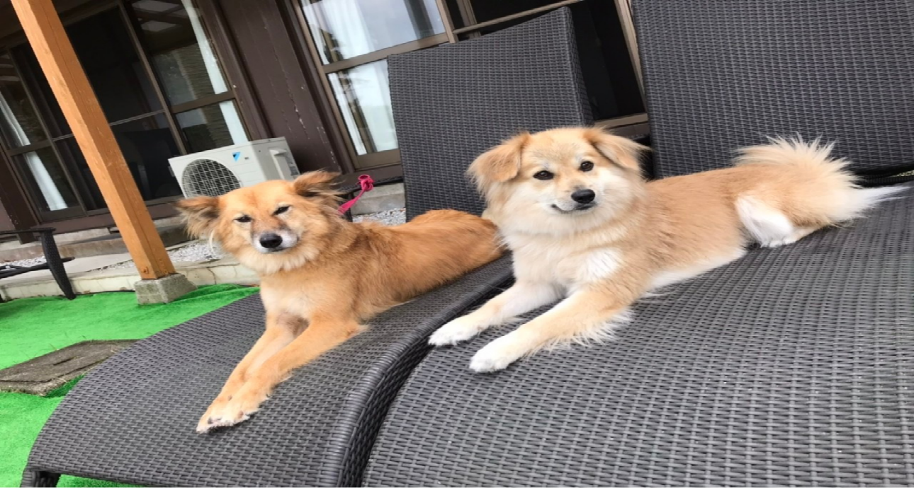 お部屋｜じゃぱり館山