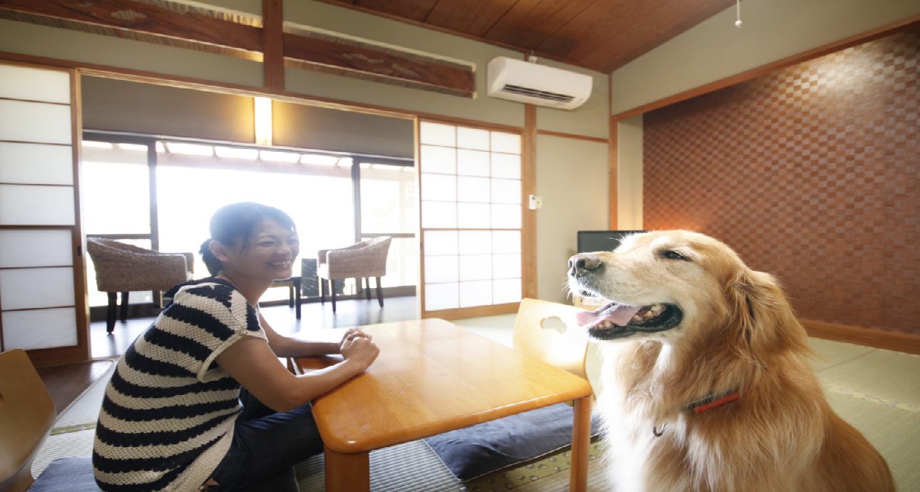 お部屋｜じゃぱり館山