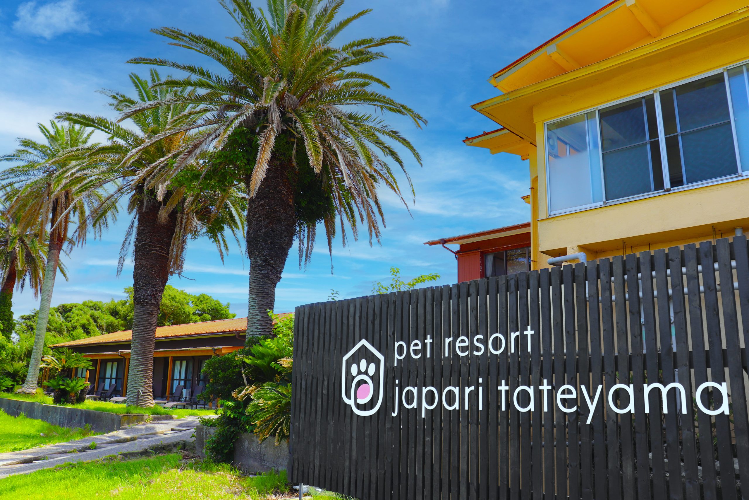 2021.2.10ご宿泊のワンちゃん達の笑顔☆｜じゃぱり館山