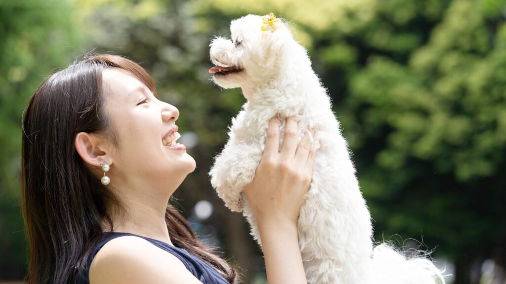 じゃぱり館山が提案する、千葉県館山市での「愛犬と一生の想い出」を作る至福の滞在