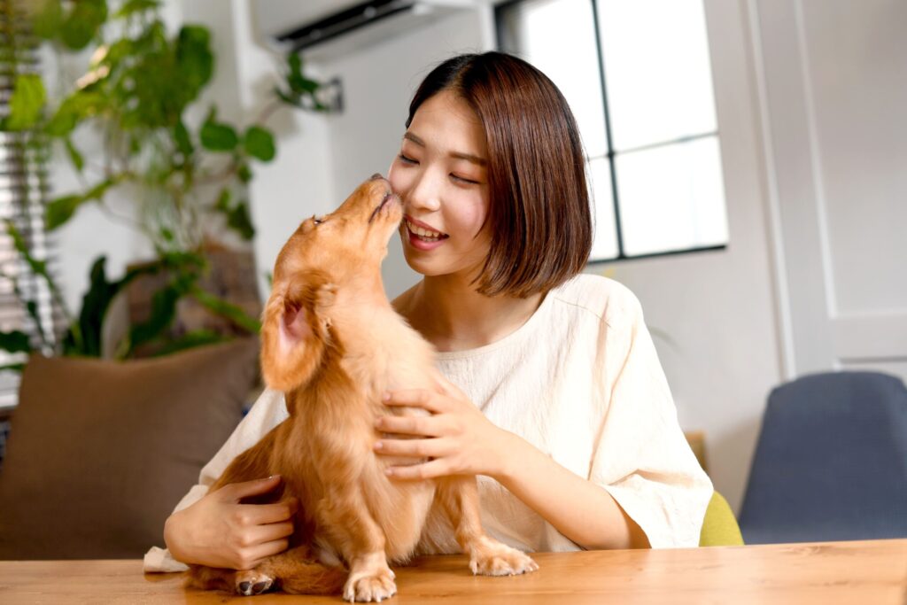 愛犬と綴る至福の物語：千葉県館山市のペットと泊まれる宿「じゃぱり館山」が提案する、真のドッグフレンドリーな休日