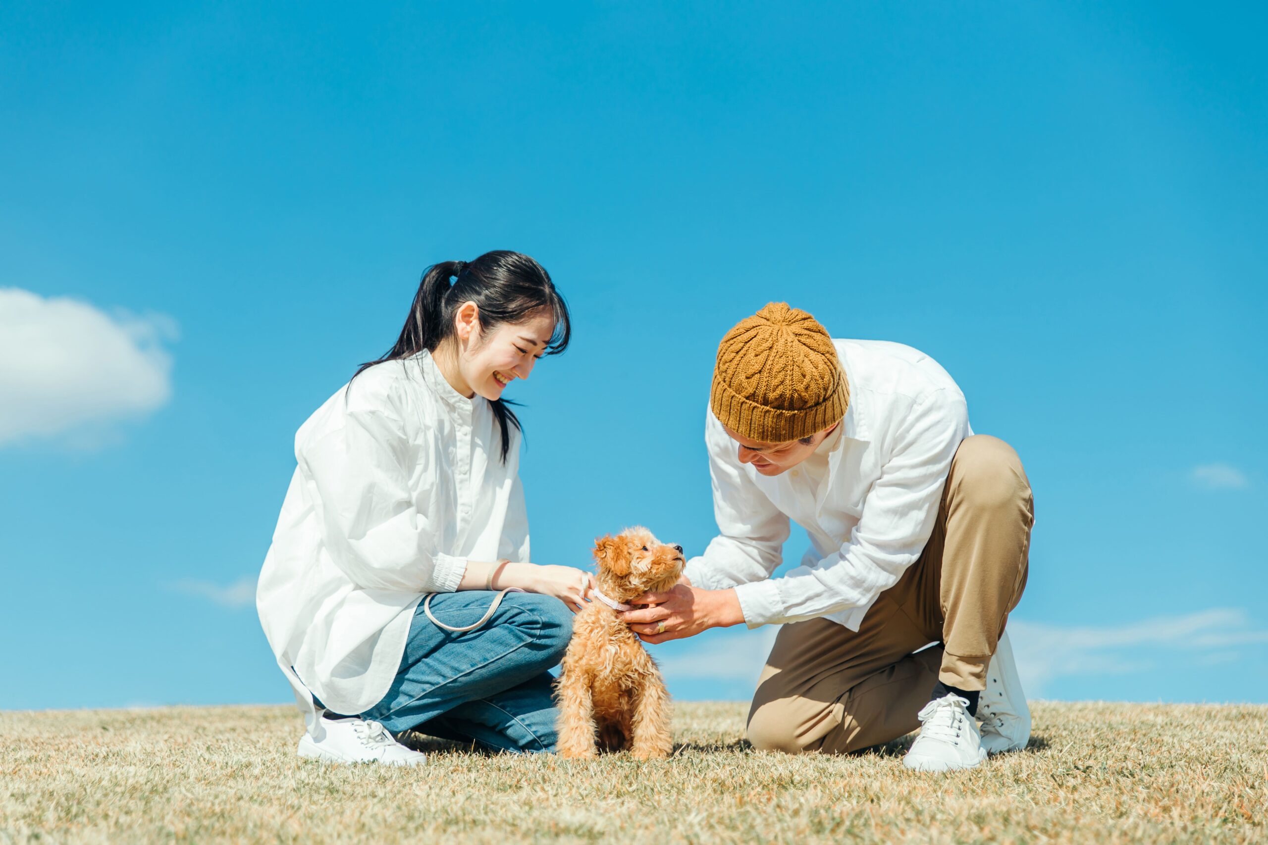 2021.2.7 ご宿泊のワンちゃん達の笑顔♪|じゃぱり館山